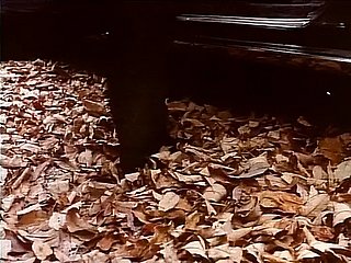 Aromas nus (1985, US, 35mm Movie, Taija Rae, DVD RIP)